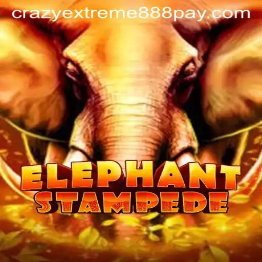 ElephantStampede: Discover the Excitement of ​Crazy Extreme 888